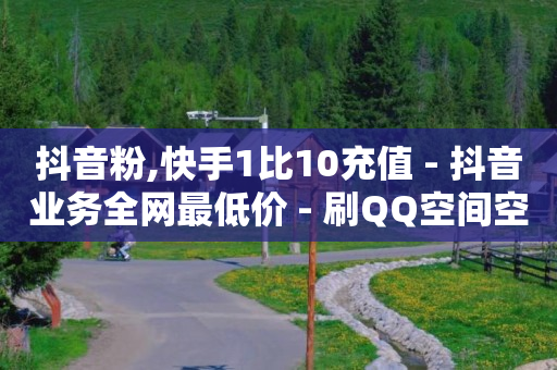 抖音粉,快手1比10充值 - 抖音业务全网最低价 - 刷QQ空间空间网页