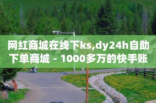 网红商城在线下ks,dy24h自助下单商城 - 1000多万的快手账号值多少钱 - 抖音业务低价业务平台