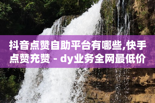 抖音点赞自助平台有哪些,快手点赞充赞 - dy业务全网最低价 - 快手点赞下单微信付款