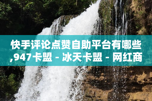 快手评论点赞自助平台有哪些,947卡盟 - 冰天卡盟 - 网红商店24小时自助购买