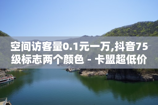 空间访客量0.1元一万,抖音75级标志两个颜色 - 卡盟超低价 - 抖音推流工具有哪些