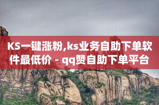 KS一键涨粉,ks业务自助下单软件最低价 - qq赞自助下单平台 - QQ访客10000多吗