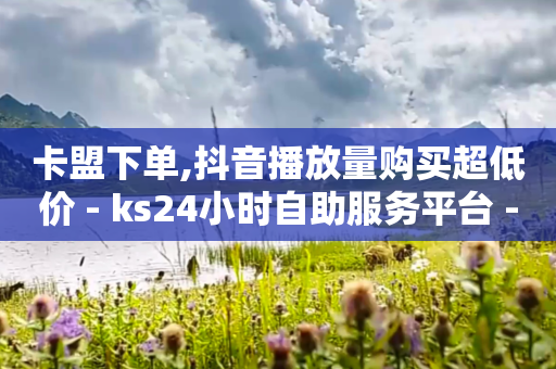 卡盟下单,抖音播放量购买超低价 - ks24小时自助服务平台 - 巨量千川手机版下载