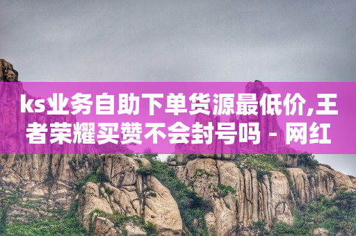 ks业务自助下单货源最低价,王者荣耀买赞不会封号吗 - 网红业务下单 - 云商城24小时自助下单下载