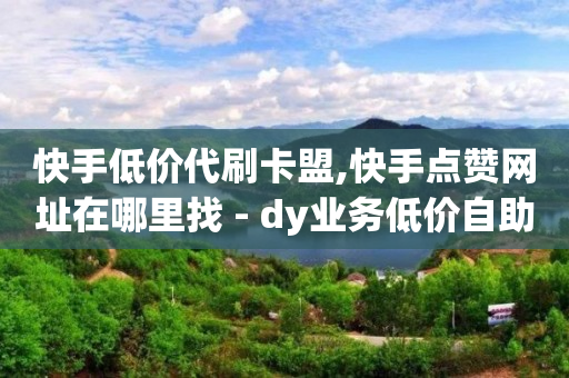 快手低价代刷卡盟,快手点赞网址在哪里找 - dy业务低价自助下单转发便宜 - QQ资料卡怎么点赞