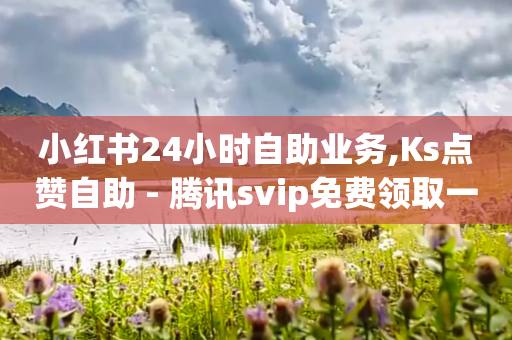 小红书24小时自助业务,Ks点赞自助 - 腾讯svip免费领取一天 - 一元起自助下单dy24小时自助下单,1000~1万真人