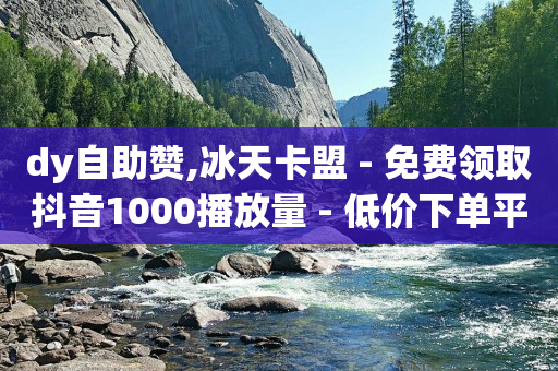 dy自助赞,冰天卡盟 - 免费领取抖音1000播放量 - 低价下单平台业务