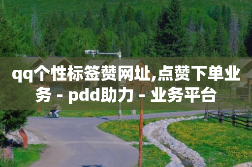 qq个性标签赞网址,点赞下单业务 - pdd助力 - 业务平台