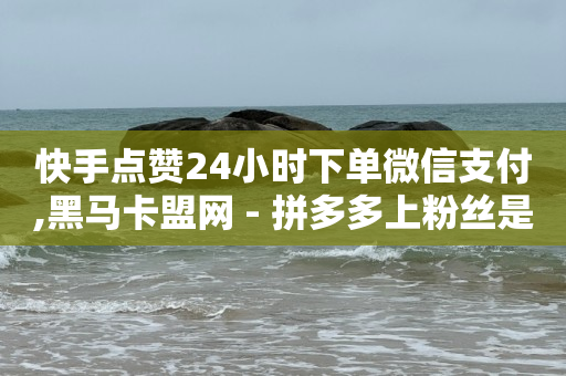 快手点赞24小时下单微信支付,黑马卡盟网 - 拼多多上粉丝是怎么来的 - QQ名片互赞在线网址