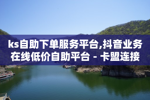 ks自助下单服务平台,抖音业务在线低价自助平台 - 卡盟连接 - 点赞粉丝下单网站