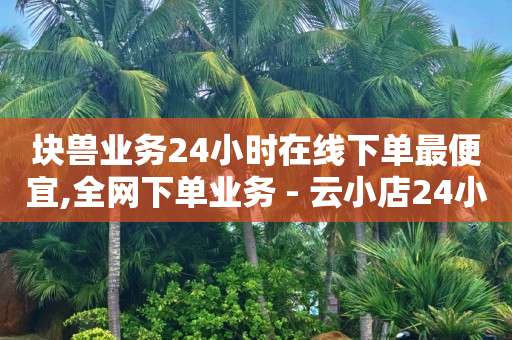 块兽业务24小时在线下单最便宜,全网下单业务 - 云小店24小时下单平台 - 快手涨客软件