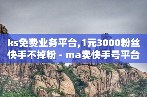 ks免费业务平台,1元3000粉丝快手不掉粉 - ma卖快手号平台 - 抖音快手业务网站